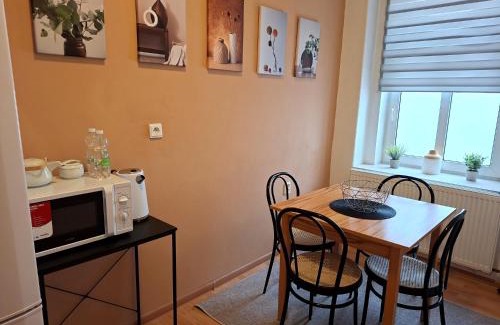 Teplice Apartment | Ubytování Teplice II