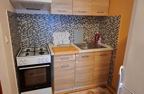 Teplice Apartment | Ubytování Teplice II