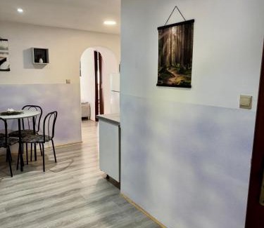 Jesenik Apartment | Ubytování za babku s infrasaunou