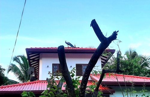 Kirinda Villa | Udara Guest Yala