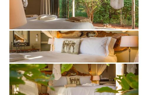 Hoedspruit Hotel | Ukuthula Bush Lodge