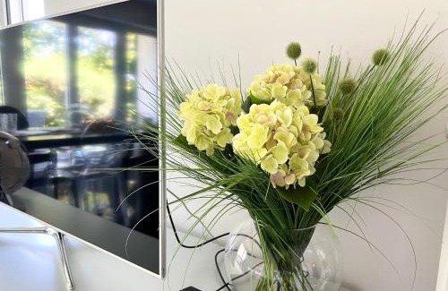 Bechlingen Apartment | Uliveto