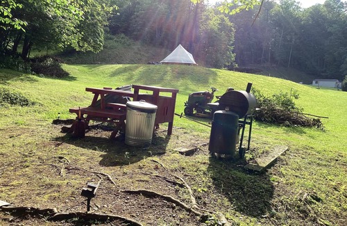 Turtletown RV Rental | Ultimate Glamping in the mountains of Tennessee Pet and Kid Friendly with games