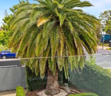 Surfers Paradise House | Ultimate Vacation Haven in GC
