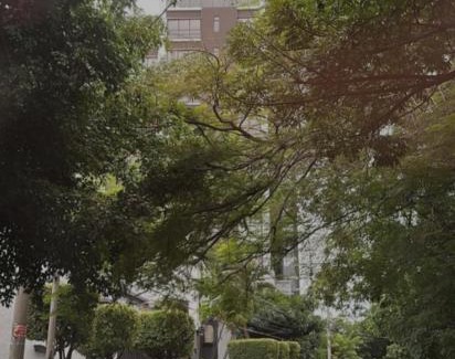 San Salvador Apartment | Un lugar especial en San Salvador