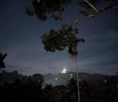 Ella Resort | Unagolla Edge Resort & Garden Retreat