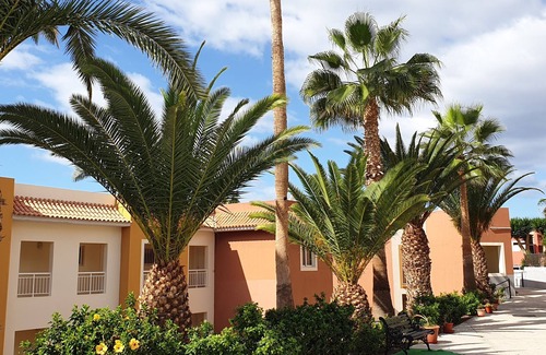 Callao Salvaje Apartment | Under palm and banana trees, a 15-minute walk from the sea,