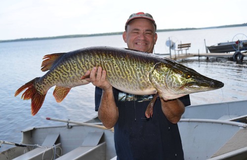 Phelps Cottage | Unforgettable "Fishing Paradise" Cottage at LVD Lake