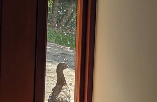 Chontales House | Unique Housing in Splendid area Around Big Wonders