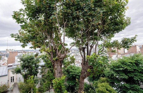 Clignancourt Apartment | Unique romantic 1Br apt. View over Paris‘ Skyline CHE