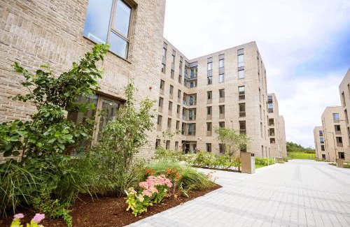 Dangan Hostel | University of Galway Rooms