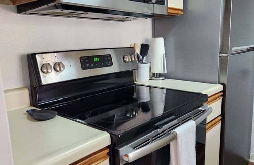 Columbia Condo | University of SC - Williams- Bryce Stadium - Downtown Cola
