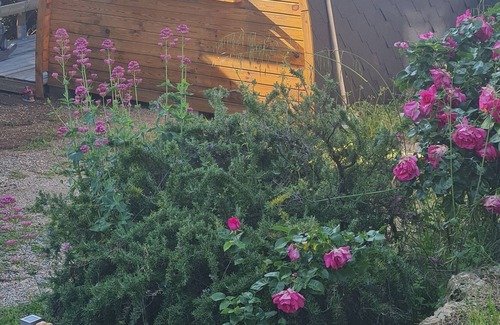 Aups Cabin | Unusual fully air-conditioned accommodation in the Verdon with free parking and swimming pool