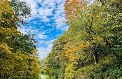 Muscoda Cabin | Unwind at Driftless Pines - NEW