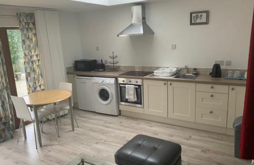 Ballyfad Apartment | Unyi Ojo