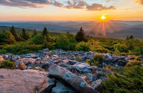 Davis Cabin | Upbeat Cabin - Serene Mountain escape @ Black Bear Resort