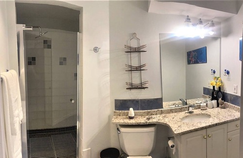 South Central House | Upscale 2 Bedroom Suite Basement