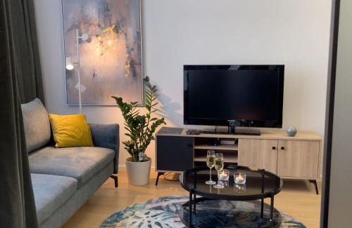 Katowice Apartment | URBAN APARTMENTS PREMIUM, Opolska 10 No 36, Free Garage, Self Check-in