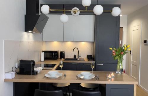 Katowice Apartment | URBAN APARTMENTS PREMIUM, Opolska 10 No 36, Free Garage, Self Check-in