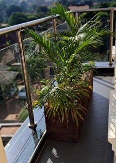 Kampala Apartment | Urban Nest BnB