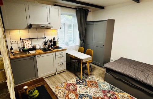 Zemgale Suburb Apartment | Urban Wolfie with FREE parking & own bicycle