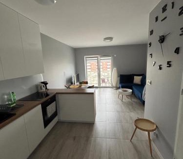 Lodz Apartment | Urocza i nowoczesna kawalerka - Łódź w pobliżu centrum