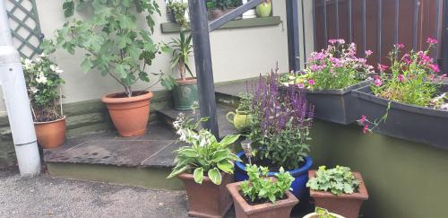 Sennybridge Hotel | Usk And Railway Inn