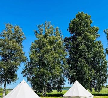 Korgessaare Other | Utoopia Glämping Viscosas