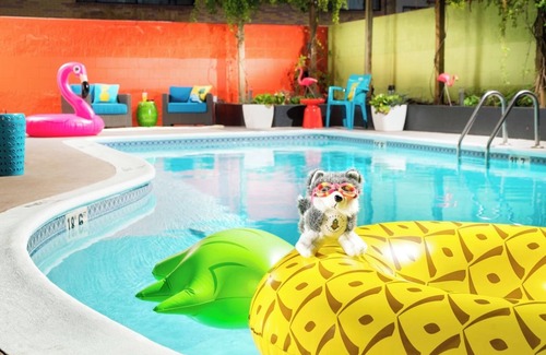 University District Hotel | UW Campus Close, Two Queen w/Tub, Staypineapple, Cycle the City
