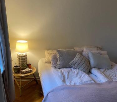 Odense House | Værelse udlejes i herskabslejlighed midt i Odense by