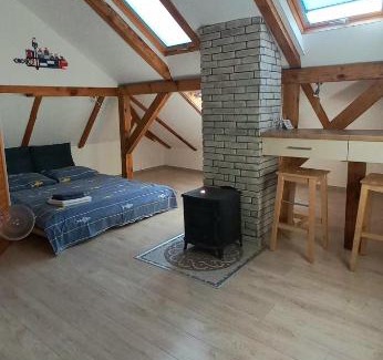 Nida Apartment | Vėtrungėlė