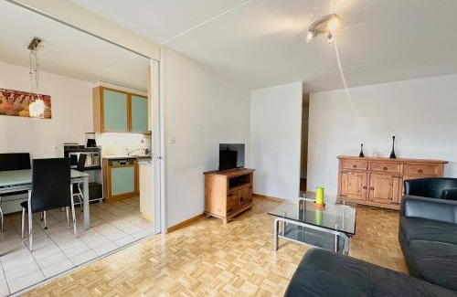 Charmey Apartment | Vac-Vue de Charmey