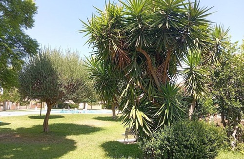 Playa de San Juan House | Vacances Espagne Bord DE MER