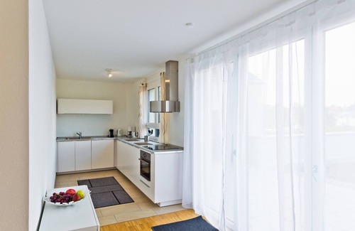 Endingen am Kaiserstuhl Apartment | Vacation apartment F4 with large terrace, 76sqm, 2 bedrooms, max. 4 persons