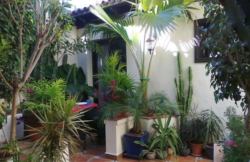 El Guincho Apartment | Vacation apartment/apartment for 2 guests with 45m² in Icod de los Vinos (120160)