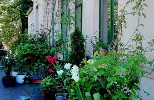 Niederrathen Apartment | Vacation apartment/apartment for 2 guests with 50m² in Rathen (164557)