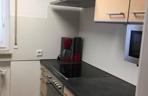 Villingendorf Apartment | Vacation apartment/apartment for 3 guests with 45m² in Villingendorf (143260)