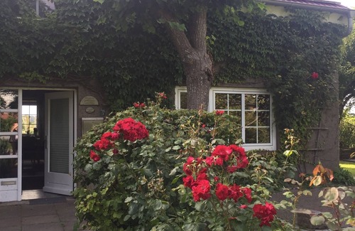 Nordstrand Apartment | Vacation apartment/apartment for 3 guests with 70m² in Nordstrand (71567)