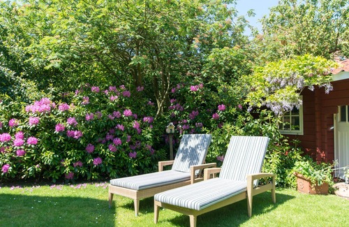 Spiekeroog Apartment | Vacation apartment/apartment for 3 guests with 40m² in Spiekeroog (149930)