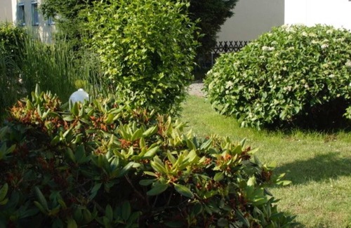 Senftenberg Apartment | Vacation apartment Lausitz Sehn I - Holiday property Lausitz Sehn