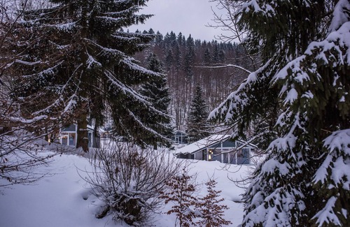 Ruhla House | Vacation home for 5 guests with 70m² in Ruhla (267450)