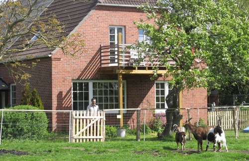 Neu Augustengroden Apartment | Vacations on the North Sea coast for animal lovers