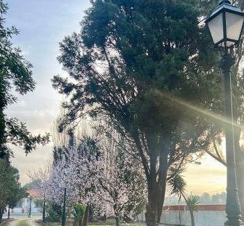 Vagos House | Vagos Guest House