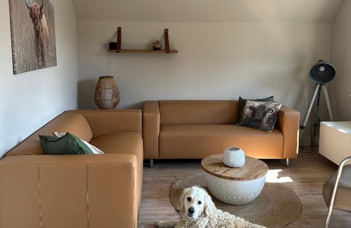 Anjum House | vakantiehuis Lieke Lauwersmeer met sauna