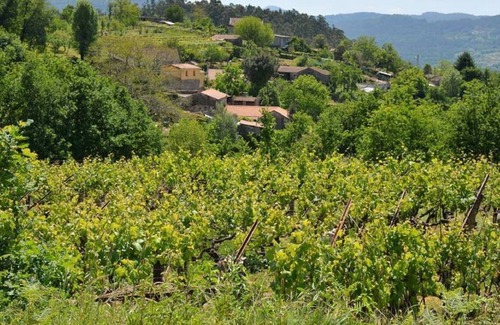 Covelo House | Valle de Barcia, Entire house, typical Galician construction on the mountain