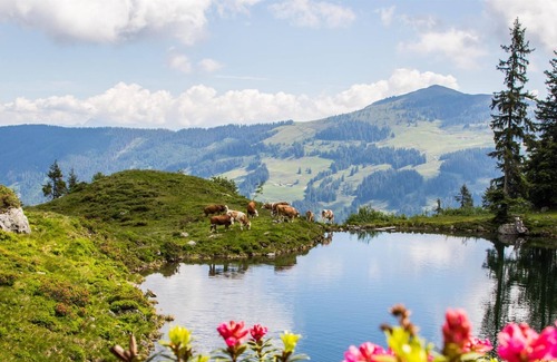 Muhlthal Cottage | Valley view - Gasthof Schöntal
