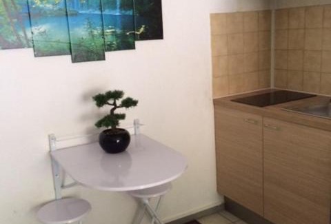 Digne-les-Bains Apartment | VALLON DES SOURCES N°25