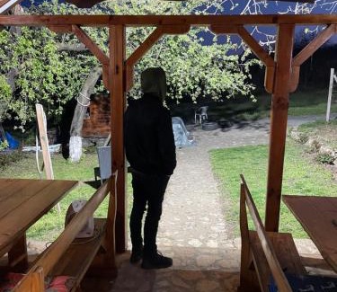 Jagodina Cabin | Vasića grozd