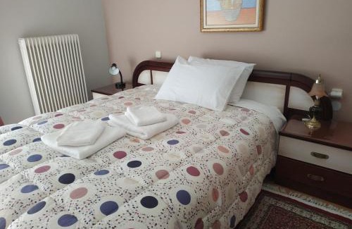 Trikala Apartment | Vasiliki Apartment Trikala