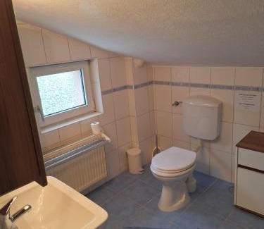 Mainz-Bingen Apartment | Vater Rhein